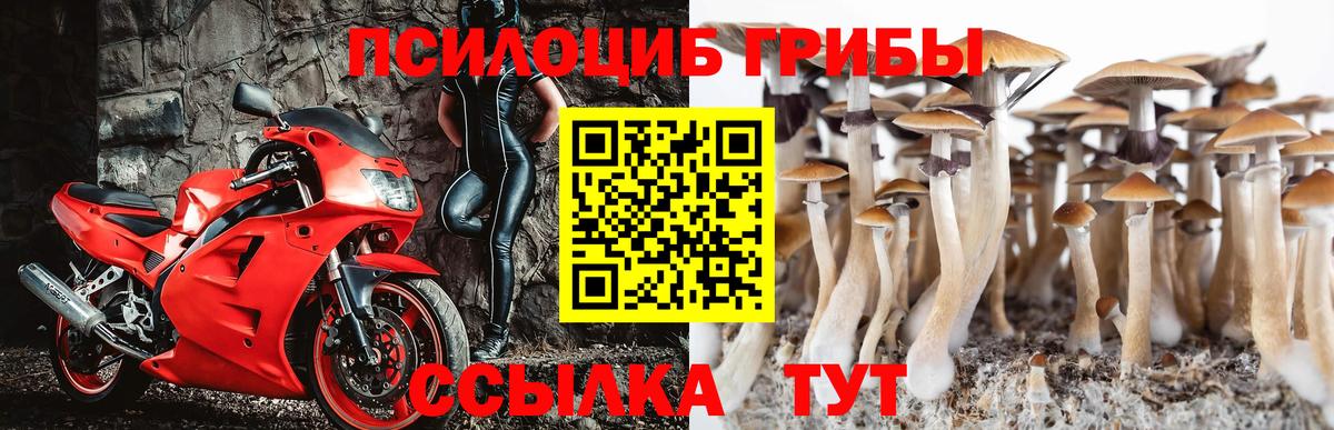 Галлюциногенные грибы мухоморы Ахтубинск