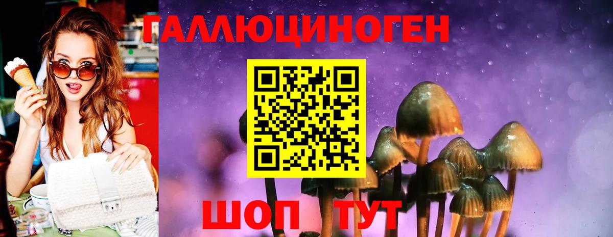 Ахтубинск  Галлюциногенные грибы мицелий  Вход с VPN 